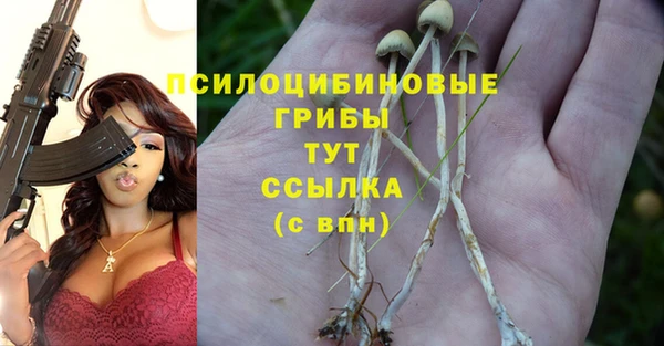 дурь Беломорск