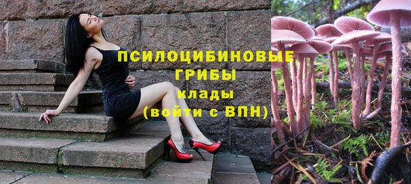 прущая мука Богданович