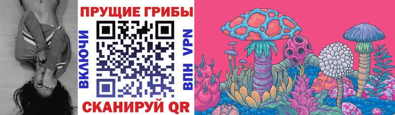 наркота  Армавир  Псилоцибиновые грибы ЛСД 