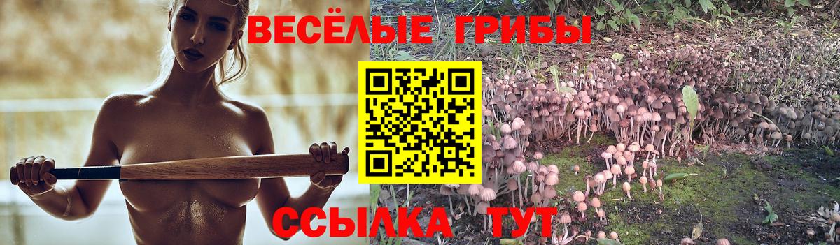 хочу наркоту  Вход с VPN  Армавир  Галлюциногенные грибы Psilocybe 